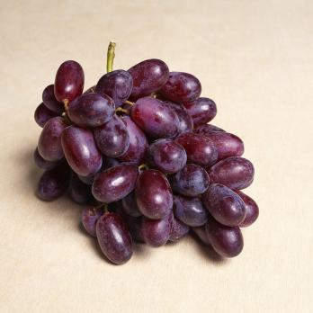 Виноград красный Ред Глоб