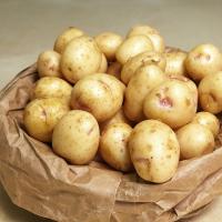 Картофель Черри